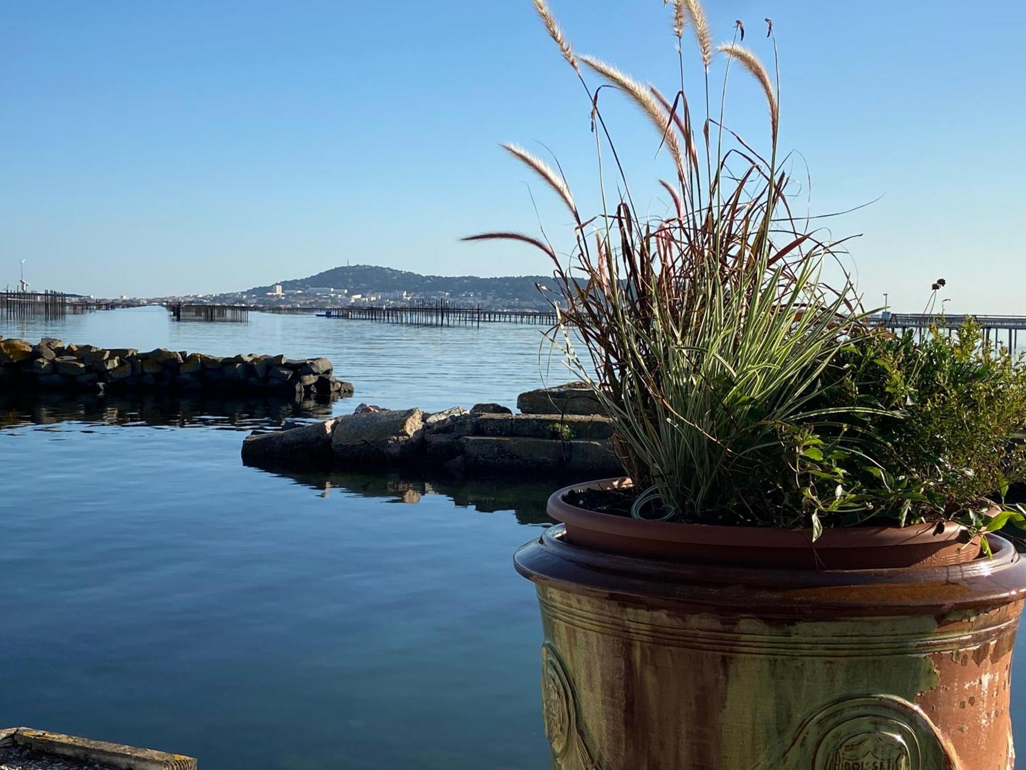 Lemodernlounge, Hebergement Cosy Moderne Spacieux Balaruc-les-Bains Luaran gambar